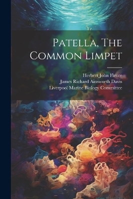 Patella, The Common Limpet - 