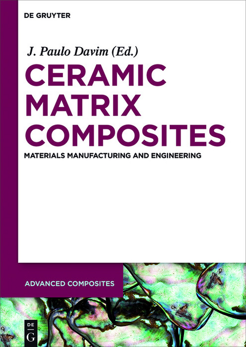 Ceramic Matrix Composites - 