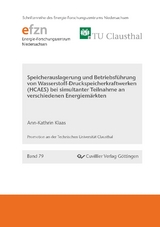 Speicherauslegung und Betriebsführung von Wasserstoff- Druckluftspeicherkraftwerken (HCAES) bei simultaner Teilnahme an verschiedenen Energiemärkten - Ann-Kathrin Klaas