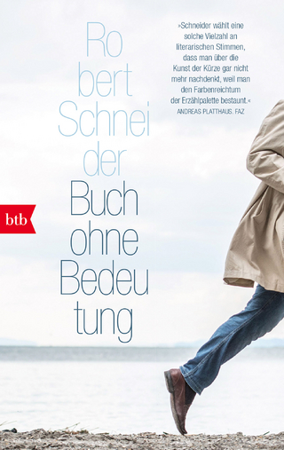 Buch ohne Bedeutung - Robert Schneider