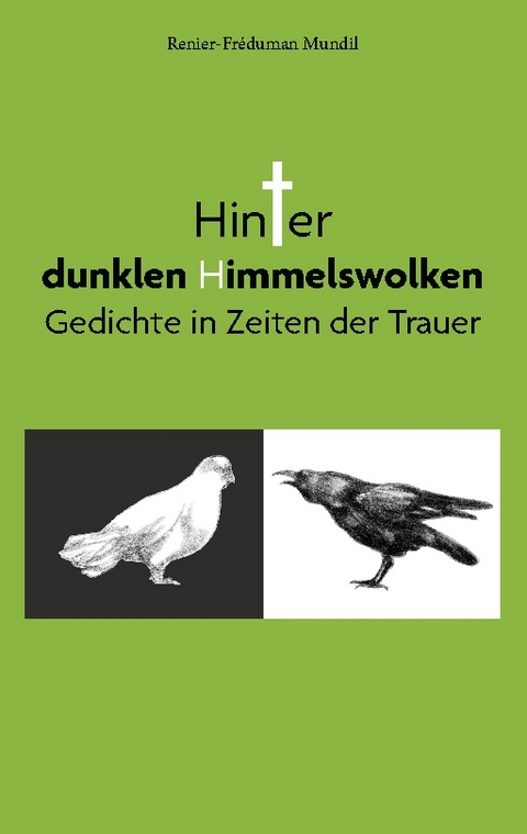 Hinter dunklen Himmelswolken - Renier-Fréduman Mundil