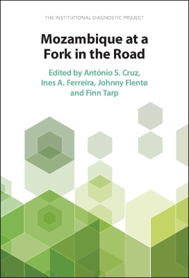 Mozambique at a Fork in the Road - 