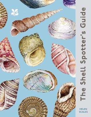 The Shell Spotter’s Guide - Helen Scales