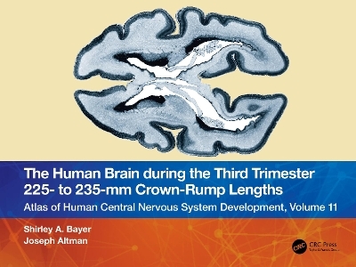 The Human Brain during the Third Trimester 225– to 235–mm Crown-Rump Lengths - Shirley A. Bayer, Joseph Altman