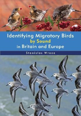 Identifying Migratory Birds by Sound in Britain and Europe - Stanislas Wroza