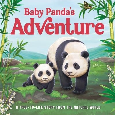Baby Panda's Adventure -  Autumn Publishing