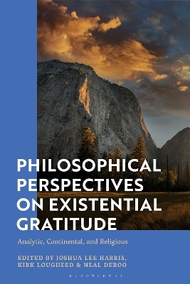 Philosophical Perspectives on Existential Gratitude - 