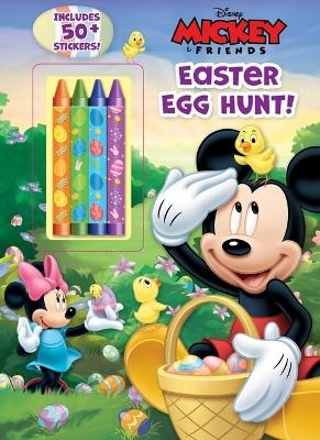 Disney Mickey Mouse: Easter Egg Hunt! - Grace Baranowski