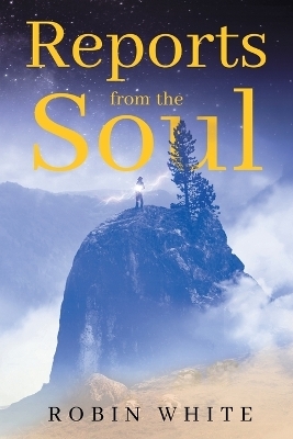 Reports From The Soul - Robin White