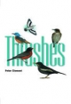 Thrushes - Peter Clement