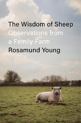 The Wisdom of Sheep - Rosamund Young