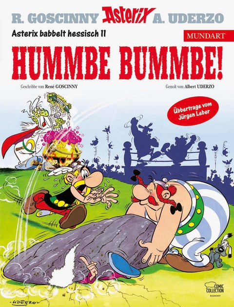 Asterix Mundart Hessisch XI - René Goscinny, Albert Uderzo