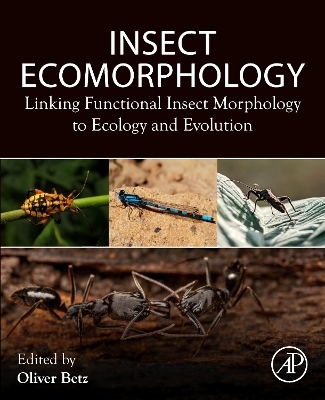 Insect Ecomorphology - 
