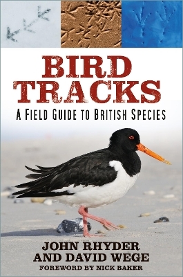 Bird Tracks - John Rhyder, David Wege