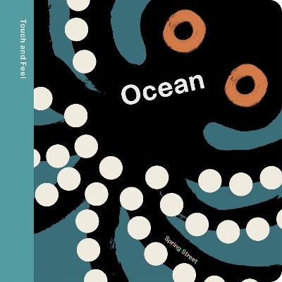 Spring Street Touch and Feel: Ocean -  Boxer Books