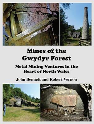 Mines of the Gwydyr Forest