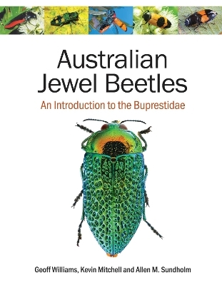 Australian Jewel Beetles - Geoff Williams, Kevin Mitchell, Allen M. Sundholm