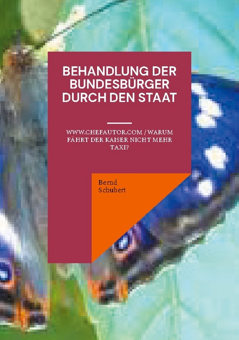 Behandlung der Bundesbürger durch den Staat - Bernd Schubert