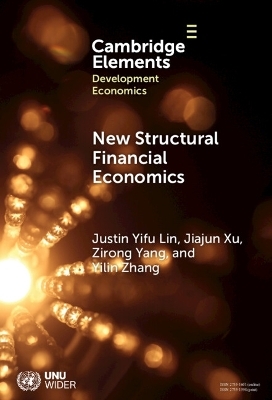 New Structural Financial Economics - Justin Yifu Lin, Jiajun Xu, Zirong Yang, Yilin Zhang