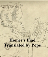 Homer's Iliad -  Homer