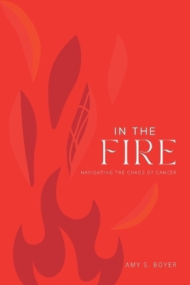 In The Fire - Amy S Boyer