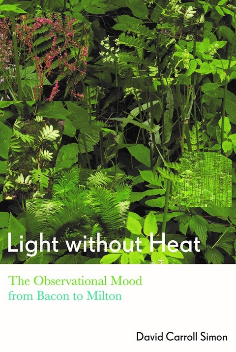 Light without Heat -  David Carroll Simon