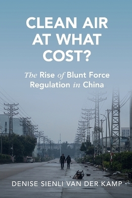 Clean Air at What Cost? - Denise Sienli van der Kamp