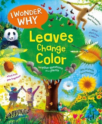 I Wonder Why Leaves Change Colour - Andrew Charman