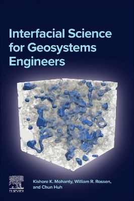 Interfacial Science for Geosystems Engineers - Kishore K. Mohanty, William R. Rossen, Chun Huh