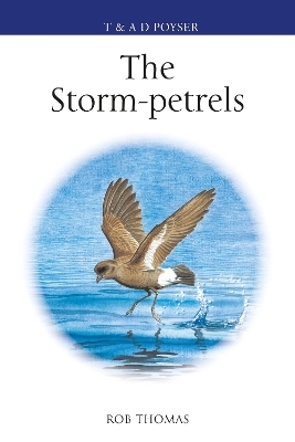 The Storm-petrels - Rob Thomas