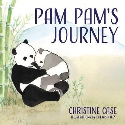 Pam Pam's Journey - Christine Case