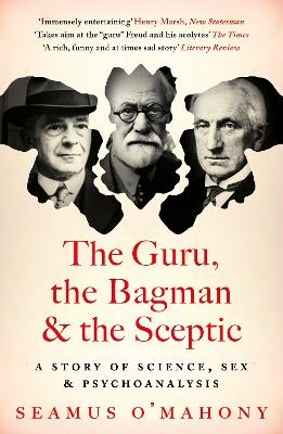 The Guru, the Bagman and the Sceptic - Seamus O'Mahony