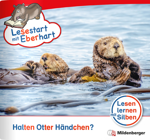 Lesestart mit Eberhart: Halten Otter Händchen? - Stefanie Drecktrah, Nicole Brandau