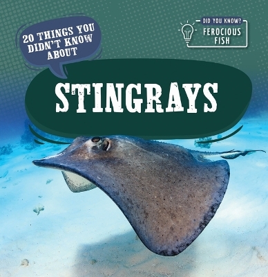 20 Things You Didn't Know about Stingrays - Leonard Clasky