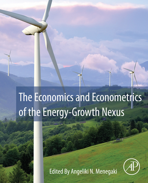 Economics and Econometrics of the Energy-Growth Nexus - 