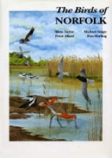 Birds of Norfolk - Taylor, Moss; Dorling, Don; Seago, Michael; Allard, Peter