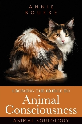 Crossing the Bridge to Animal Consciousness - Annie Bourke