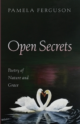 Open Secrets - Pamela Ferguson