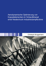 Aerodynamische Optimierung von Koppelelementen im Schaufelkanal einer Niederdruck-Industriedampfturbine - Christoph Brüggemann