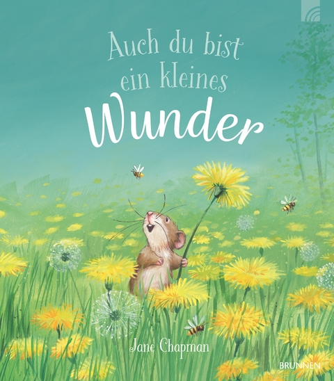 Auch du bist ein kleines Wunder - Jane Chapman