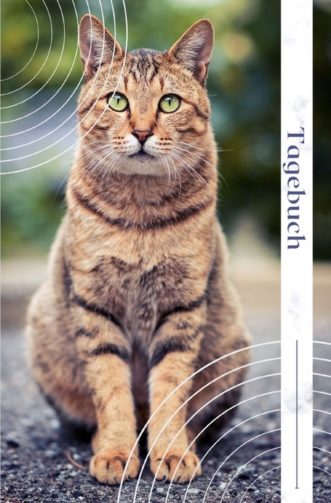 Tagebuch Katze - Easy Diary