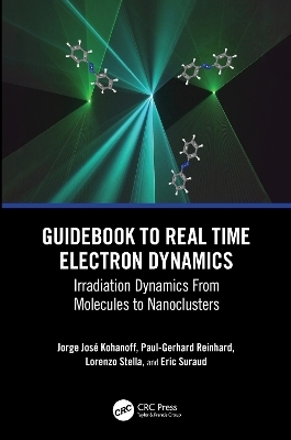 Guidebook to Real Time Electron Dynamics - Jorge Kohanoff, Paul-Gerhard Reinhard, Lorenzo Stella, Eric Suraud