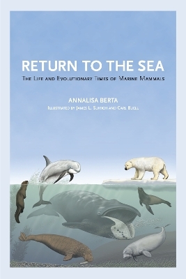 Return to the Sea - Annalisa Berta
