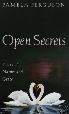 Open Secrets - Pamela Ferguson