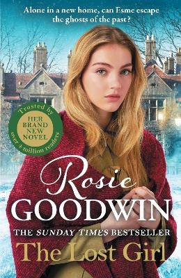 The Lost Girl - Rosie Goodwin