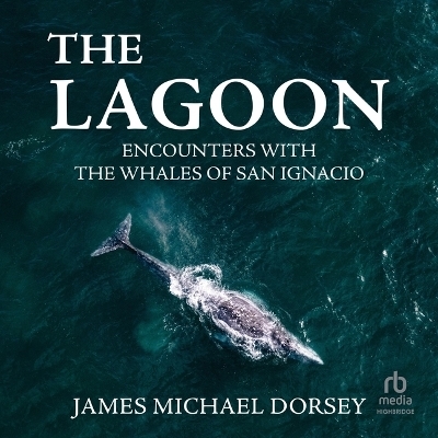 The Lagoon - James Michael Dorsey