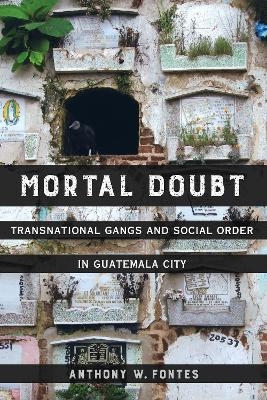 Mortal Doubt - Anthony W. Fontes