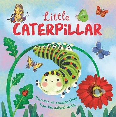 Little Caterpillar -  Autumn Publishing