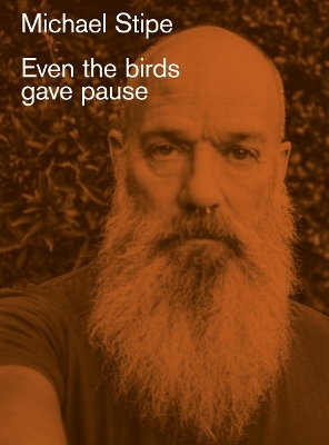 Michael Stipe: Even the birds gave pause - Michael Stipe