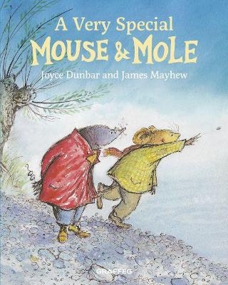 Mouse and Mole: A Very Special Mouse and Mole - Joyce Dunbar